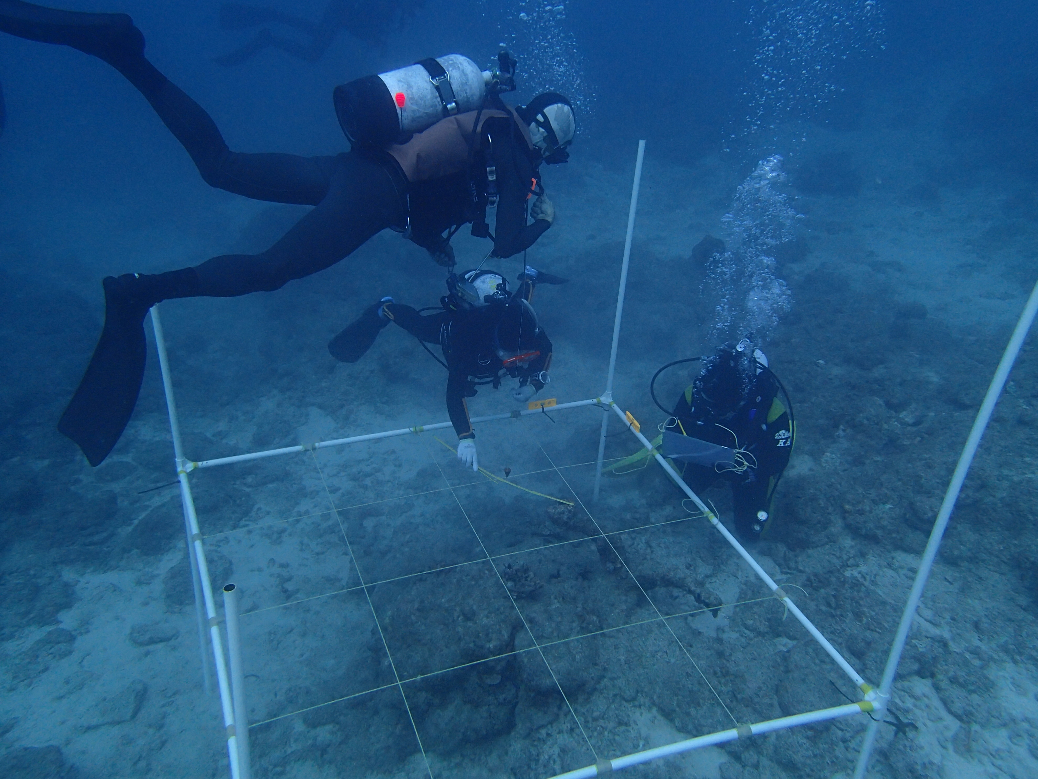 海洋考古学と大学教育 東海大学 海洋考古学 水中考古学プロジェクト